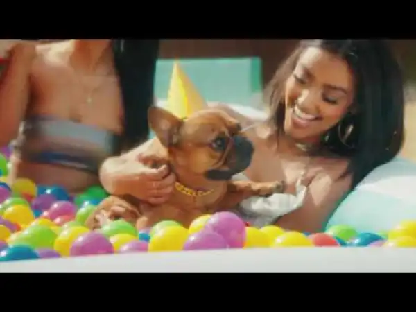 T-pain – It’s My Dog Birthday